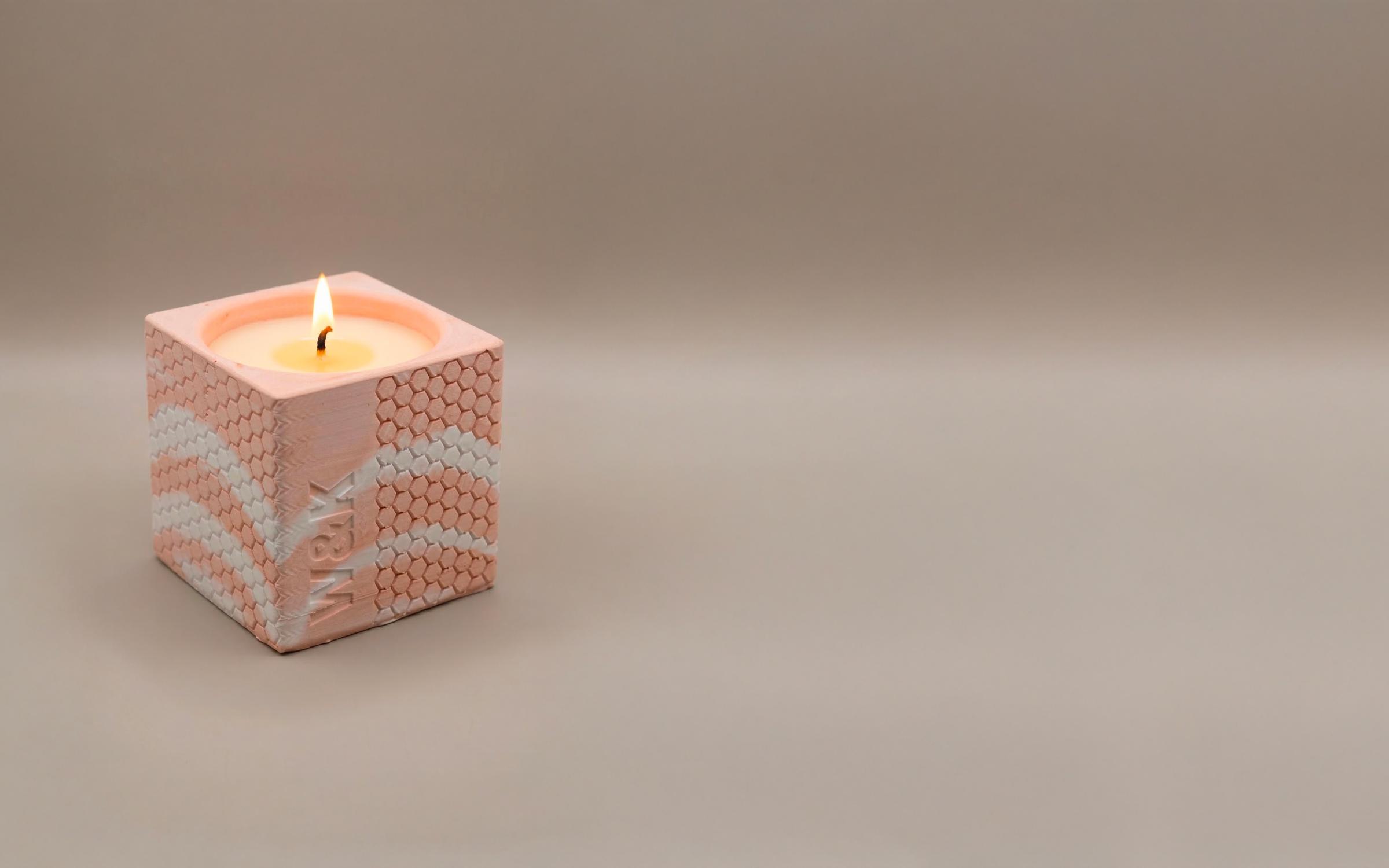 Essaim Corail – W&K